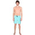 Men’s Bathing Costume Hurley Phantom OO Solid Water